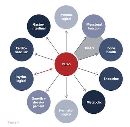 Diagram showing body systems affected by Relative Energy Deficiency in Sport